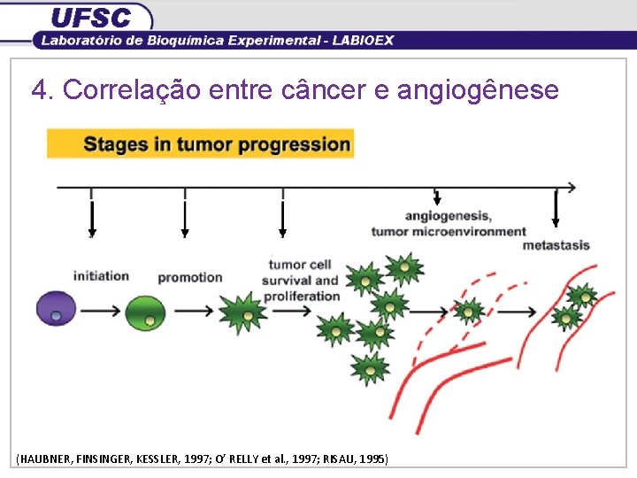 4. Correlação entre câncer e angiogênese (HAUBNER, FINSINGER, KESSLER, 1997; O’ RELLY et al.