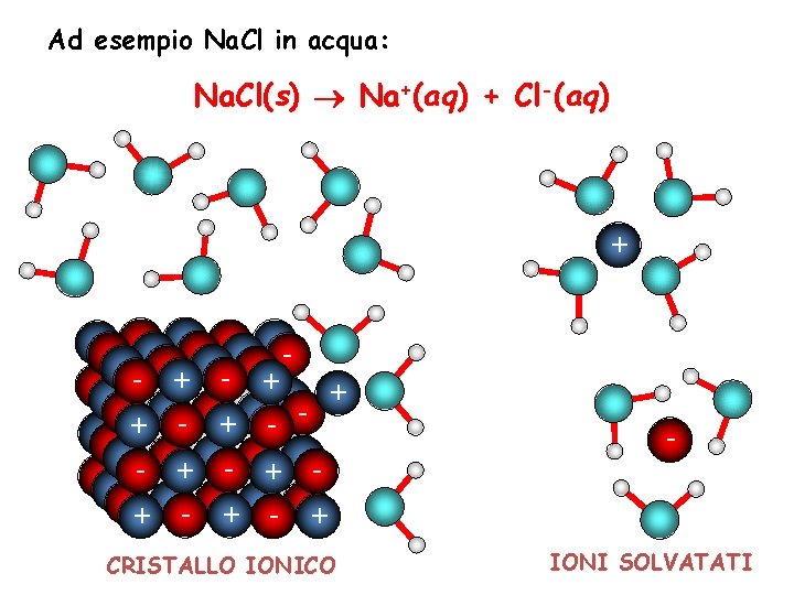 Ad esempio Na. Cl in acqua: Na. Cl(s) Na+(aq) + Cl-(aq) + - +