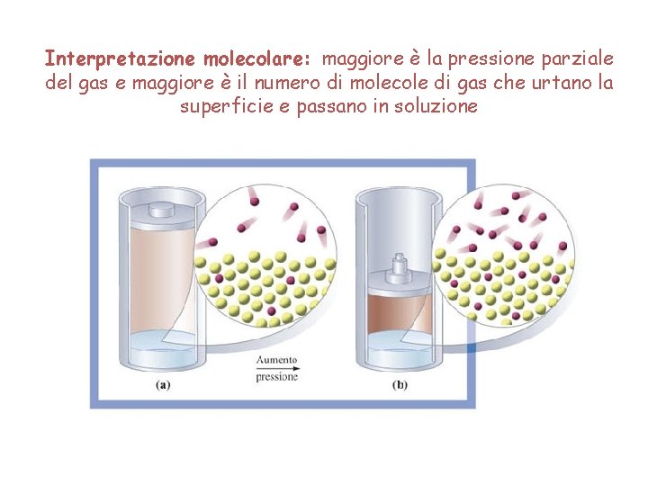Interpretazione molecolare: maggiore è la pressione parziale del gas e maggiore è il numero