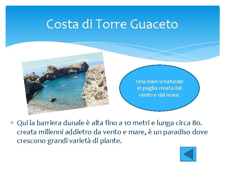 Costa di Torre Guaceto Una riserva naturale in puglia creata dal vento e dal