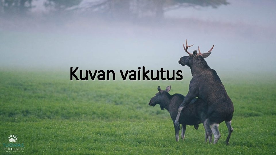 Kuvan vaikutus 