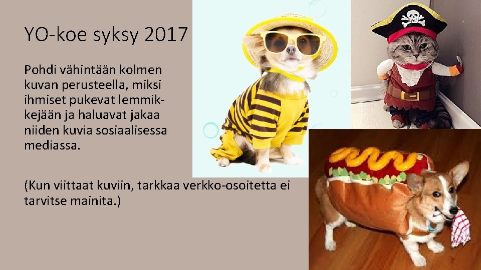 YO-koe syksy 2017 Pohdi vähintään kolmen kuvan perusteella, miksi ihmiset pukevat lemmikkejään ja haluavat