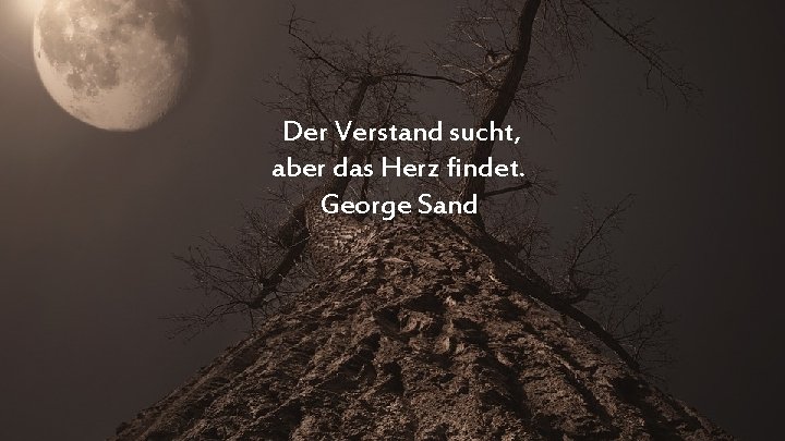 Der Verstand sucht, aber das Herz findet. George Sand 