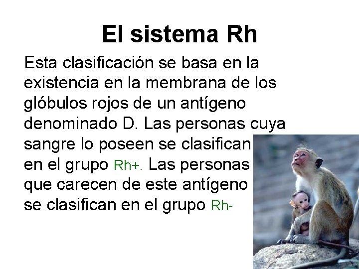 El sistema Rh Esta clasificación se basa en la existencia en la membrana de