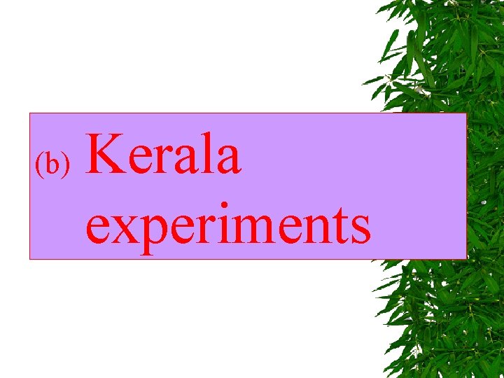 (b) Kerala experiments 