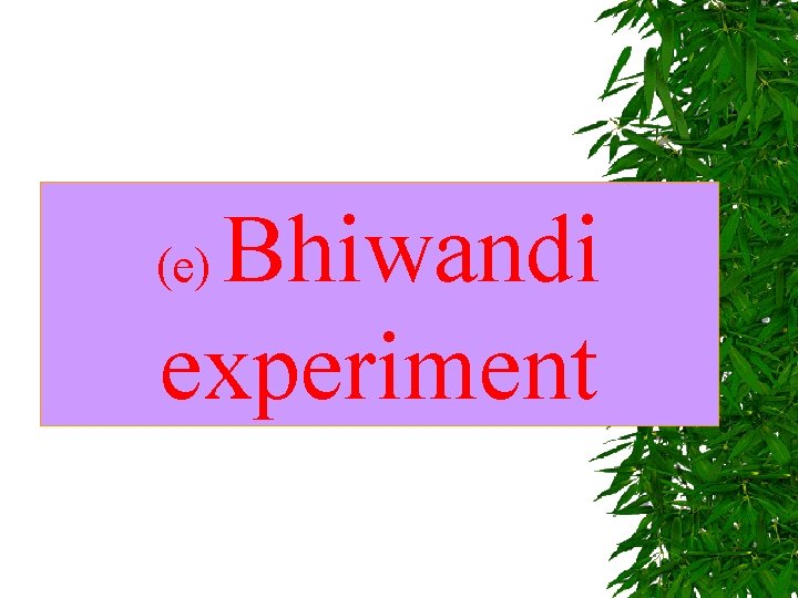 Bhiwandi experiment (e) 
