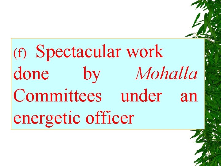 Spectacular work done by Mohalla Committees under an energetic officer (f) 