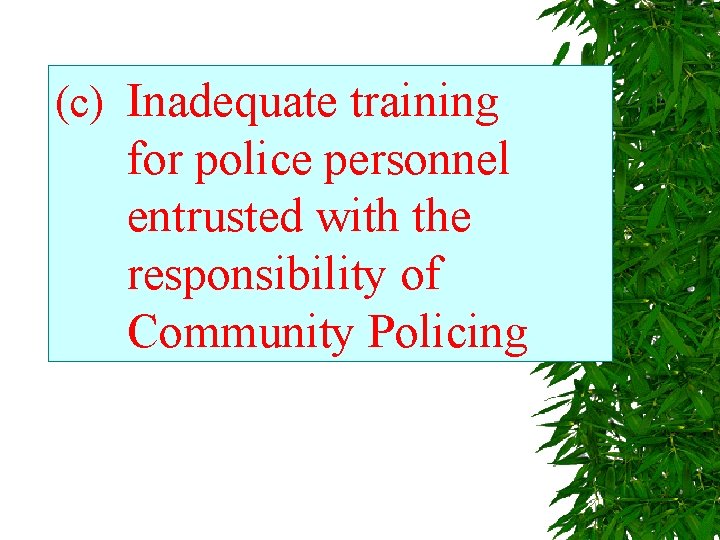 (c) Inadequate training for police personnel entrusted with the responsibility of Community Policing 