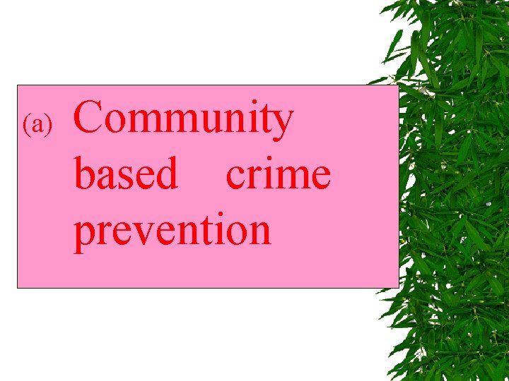 (a) Community based crime prevention 