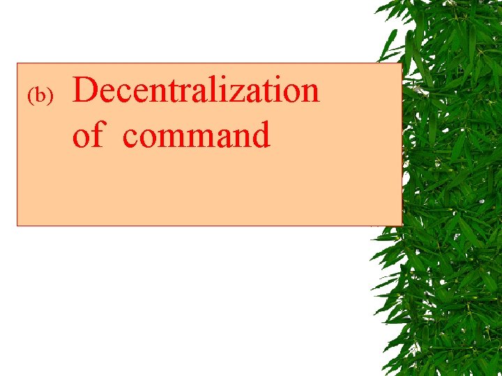  (b) Decentralization of command 