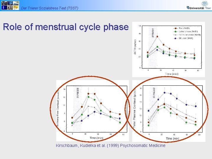 Der Trierer Sozialstress Test (TSST) Role of menstrual cycle phase Kirschbaum, Kudielka et al.