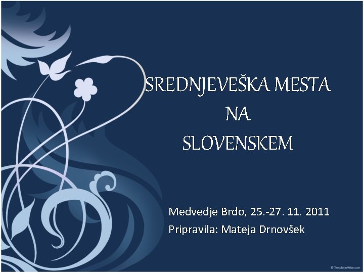 SREDNJEVEŠKA MESTA NA SLOVENSKEM Medvedje Brdo, 25. -27. 11. 2011 Pripravila: Mateja Drnovšek 