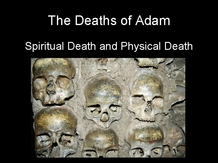 The Deaths of Adam Spiritual Death and Physical Death 