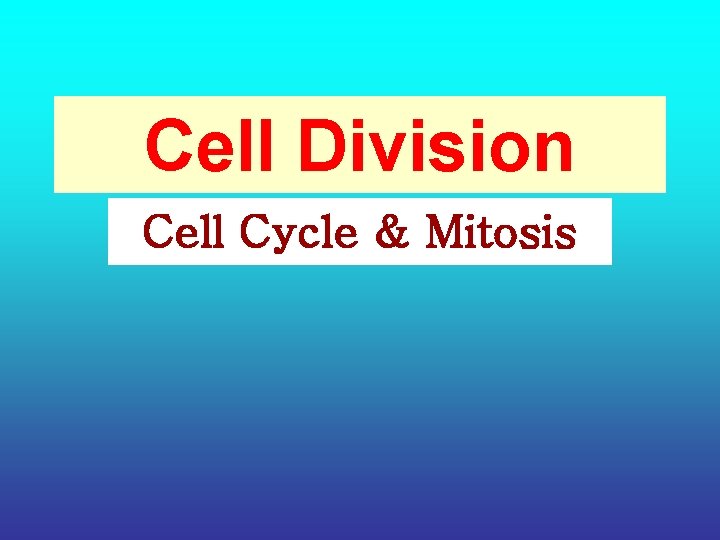 Cell Division Cell Cycle & Mitosis 