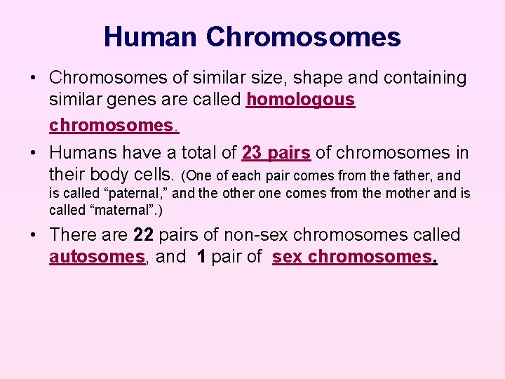 Human Chromosomes • Chromosomes of similar size, shape and containing similar genes are called