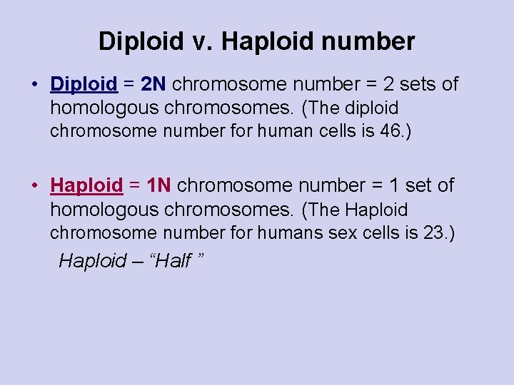 Diploid v. Haploid number • Diploid = 2 N chromosome number = 2 sets