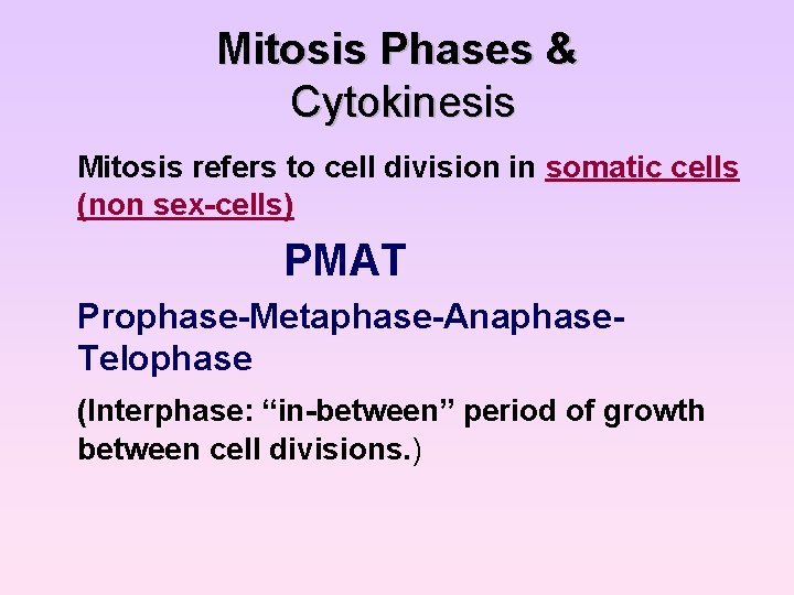 Mitosis Phases & Cytokinesis Mitosis refers to cell division in somatic cells (non sex-cells)