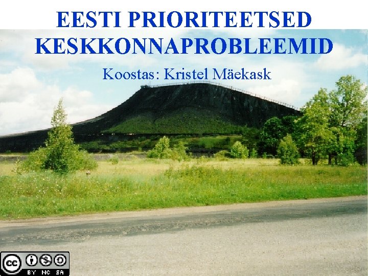 EESTI PRIORITEETSED KESKKONNAPROBLEEMID Koostas: Kristel Mäekask 