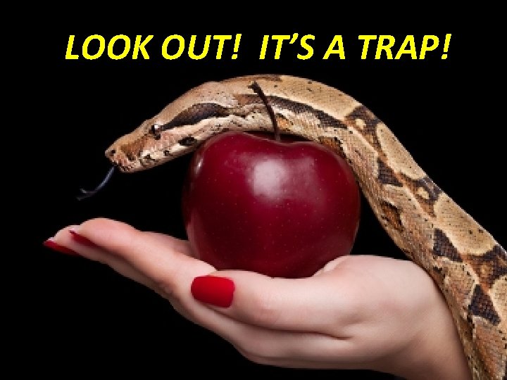 LOOK OUT! IT’S A TRAP! LOOK OUT! IT’S A TRAP!