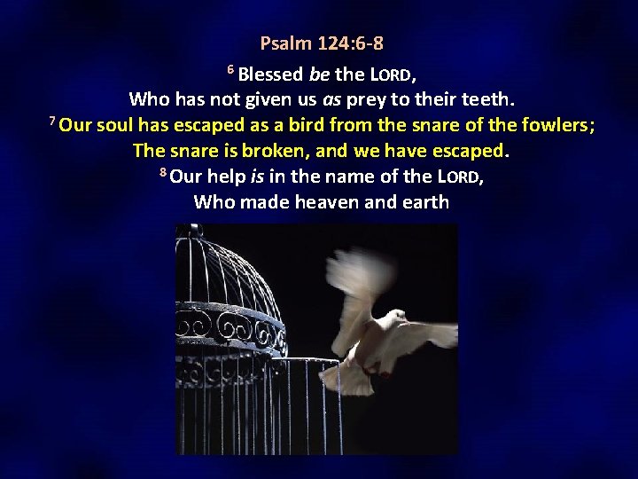 Psalm 124: 6 -8 6 Blessed be the LORD, Who has not given us Psalm 124: 6 -8 6 Blessed be the LORD, Who has not given us