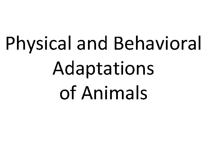 Physical and Behavioral Adaptations of Animals 