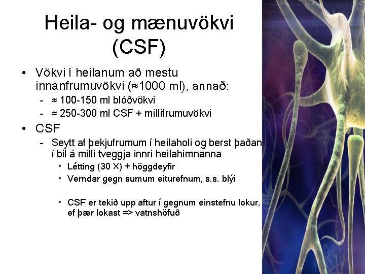 Heila- og mænuvökvi (CSF) • Vökvi í heilanum að mestu innanfrumuvökvi (≈1000 ml), annað: