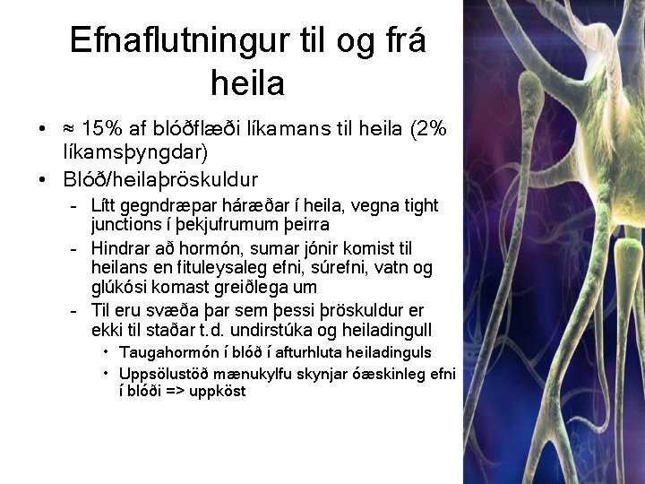 Efnaflutningur til og frá heila • ≈ 15% af blóðflæði líkamans til heila (2%