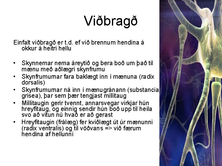 Viðbragð Einfalt viðbragð er t. d. ef við brennum hendina á okkur á heitri