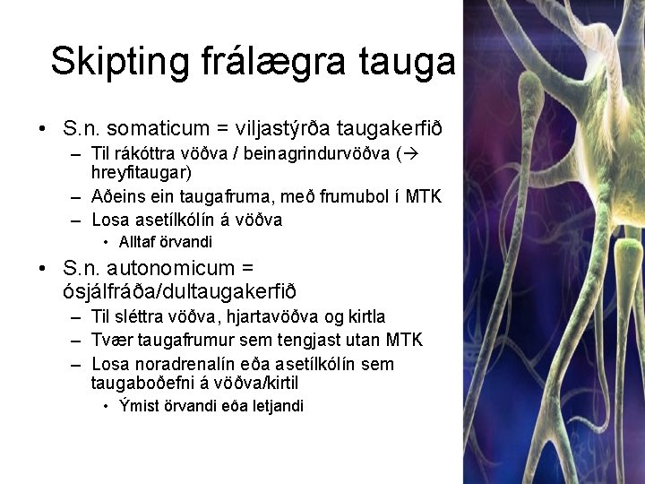 Skipting frálægra tauga • S. n. somaticum = viljastýrða taugakerfið – Til rákóttra vöðva