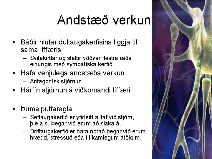 Andstæð verkun • Báðir hlutar dultaugakerfisins liggja til sama líffæris – Svitakirtlar og sléttir