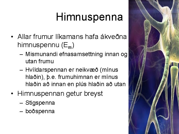 Himnuspenna • Allar frumur líkamans hafa ákveðna himnuspennu (Em) – Mismunandi efnasamsettning innan og