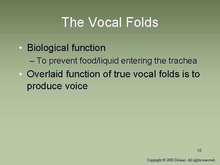 The Vocal Folds • Biological function – To prevent food/liquid entering the trachea •