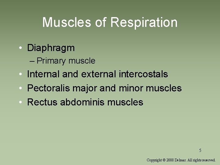 Muscles of Respiration • Diaphragm – Primary muscle • Internal and external intercostals •