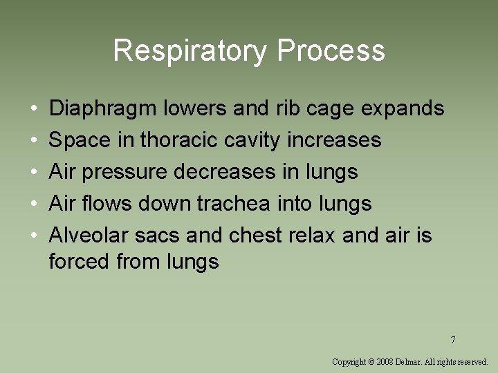 Respiratory Process • • • Diaphragm lowers and rib cage expands Space in thoracic