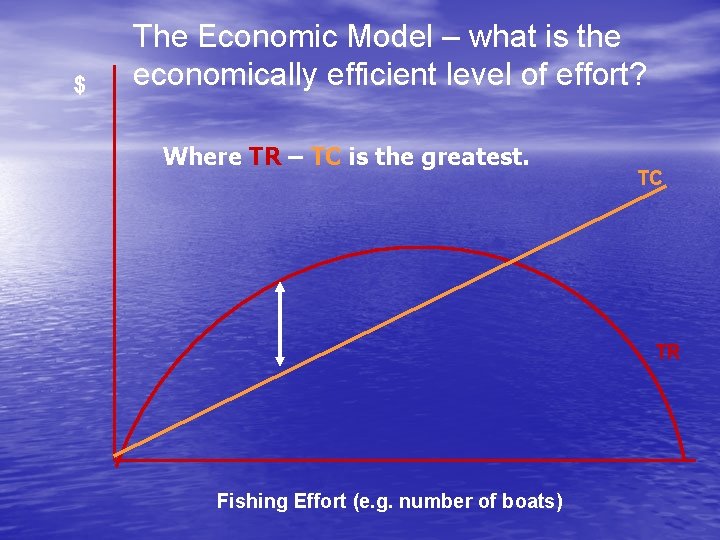 The Fishery Resource Biological And Economic Models Wednesday