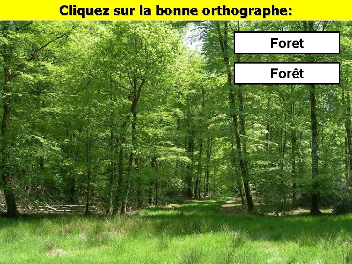 Cliquez sur la bonne orthographe: Foret Forêt 