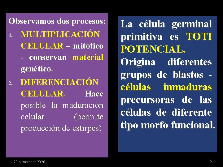 Observamos dos procesos: 1. MULTIPLICACIÓN CELULAR – mitótico - conservan material genético. 2. DIFERENCIACIÓN