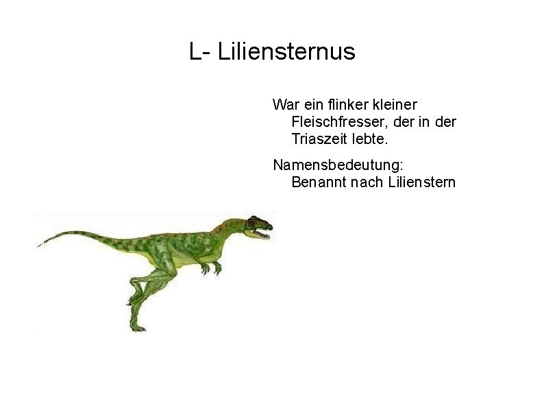 L- Liliensternus War ein flinker kleiner Fleischfresser, der in der Triaszeit lebte. Namensbedeutung: Benannt