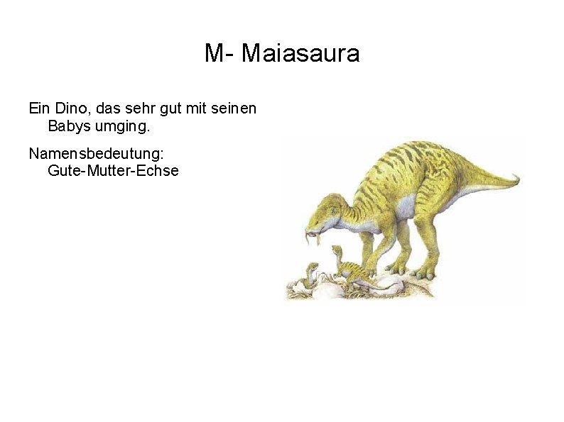 M- Maiasaura Ein Dino, das sehr gut mit seinen Babys umging. Namensbedeutung: Gute-Mutter-Echse 