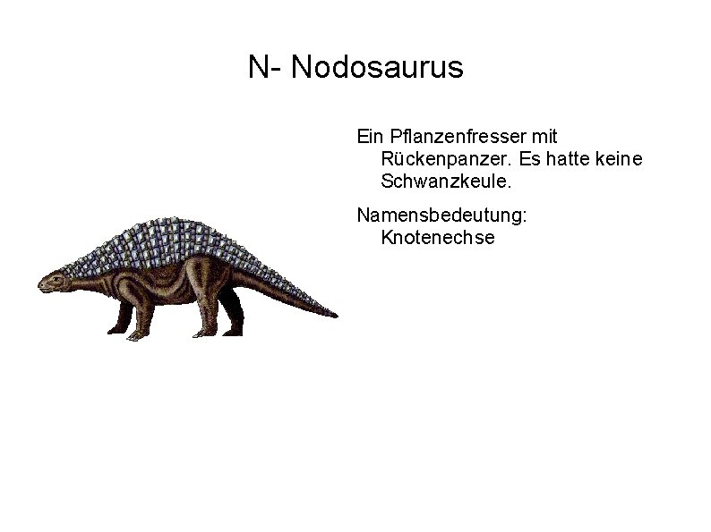 N- Nodosaurus Ein Pflanzenfresser mit Rückenpanzer. Es hatte keine Schwanzkeule. Namensbedeutung: Knotenechse 