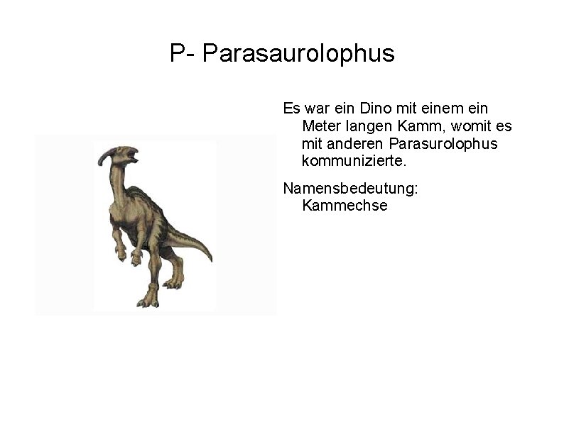 P- Parasaurolophus Es war ein Dino mit einem ein Meter langen Kamm, womit es