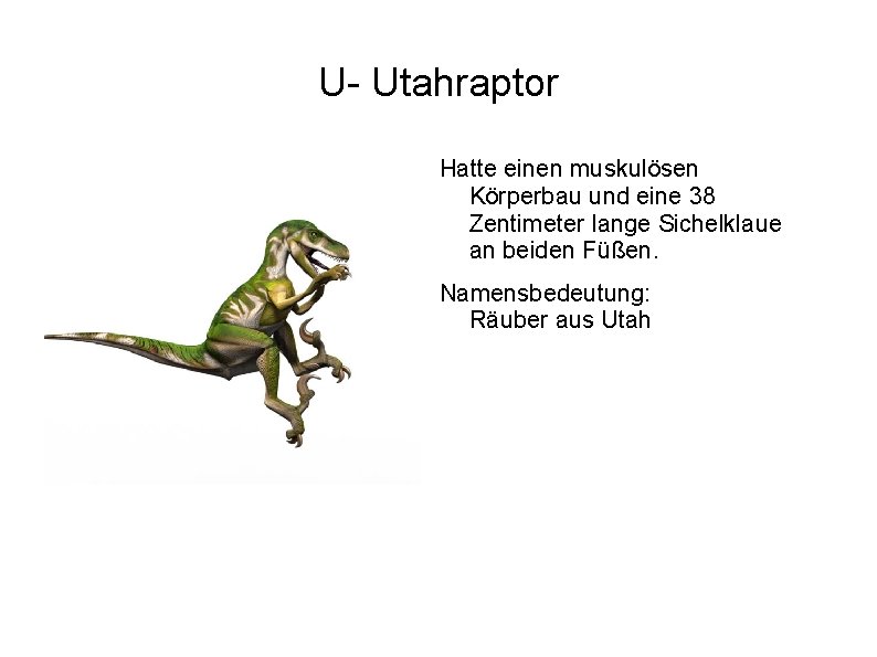 U- Utahraptor Hatte einen muskulösen Körperbau und eine 38 Zentimeter lange Sichelklaue an beiden