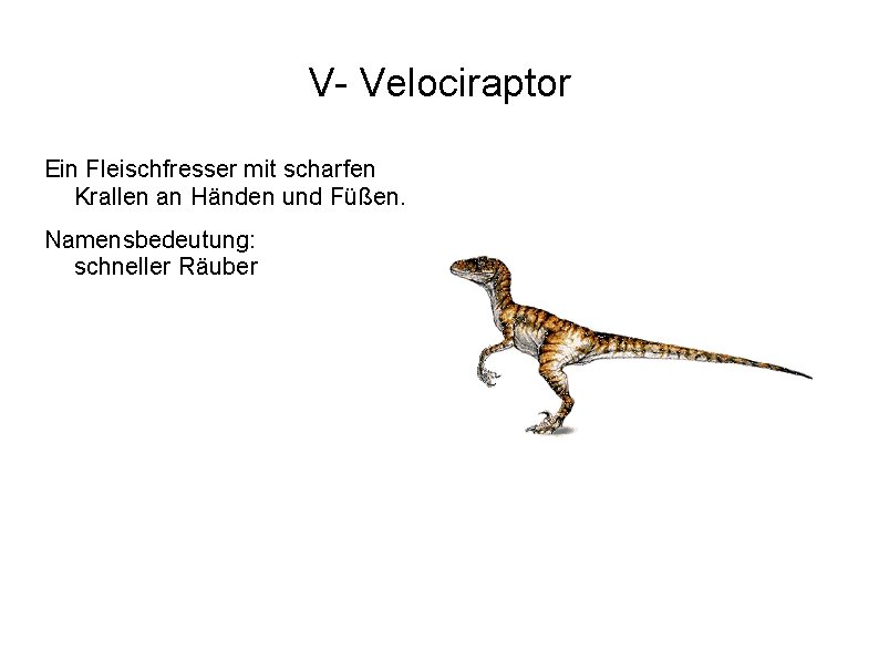 V- Velociraptor Ein Fleischfresser mit scharfen Krallen an Händen und Füßen. Namensbedeutung: schneller Räuber