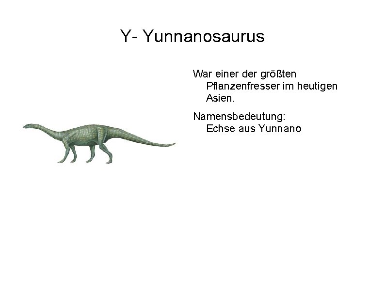 Y- Yunnanosaurus War einer der größten Pflanzenfresser im heutigen Asien. Namensbedeutung: Echse aus Yunnano