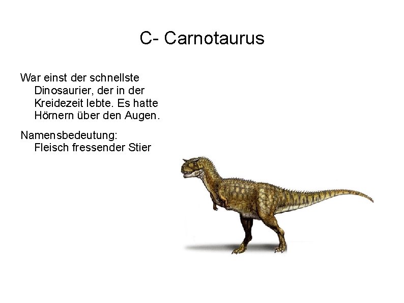 C- Carnotaurus War einst der schnellste Dinosaurier, der in der Kreidezeit lebte. Es hatte