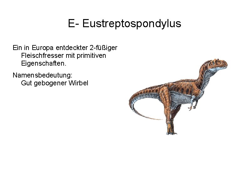 E- Eustreptospondylus Ein in Europa entdeckter 2 -füßiger Fleischfresser mit primitiven Eigenschaften. Namensbedeutung: Gut