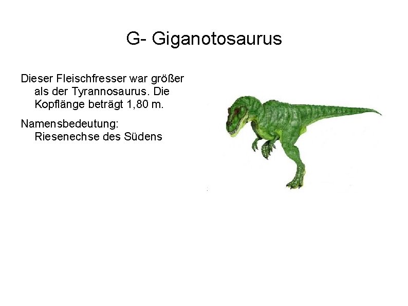 G- Giganotosaurus Dieser Fleischfresser war größer als der Tyrannosaurus. Die Kopflänge beträgt 1, 80