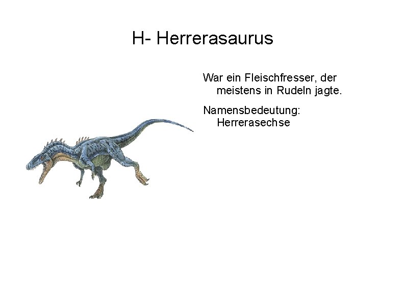 H- Herrerasaurus War ein Fleischfresser, der meistens in Rudeln jagte. Namensbedeutung: Herrerasechse 