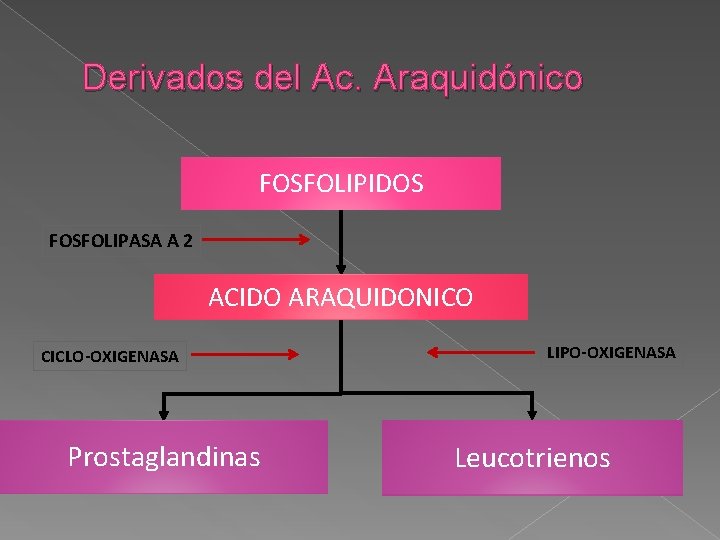 Derivados del Ac. Araquidónico FOSFOLIPIDOS FOSFOLIPASA A 2 ACIDO ARAQUIDONICO CICLO-OXIGENASA Prostaglandinas LIPO-OXIGENASA Leucotrienos