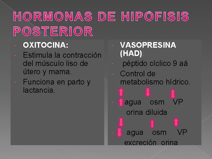 OXITOCINA: Estimula la contracción del músculo liso de útero y mama. Funciona en parto